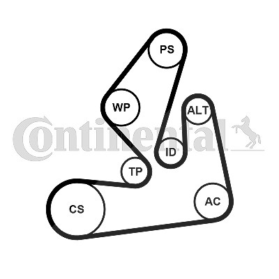 Continental Ctam Keilrippenriemensatz [Hersteller-Nr. 7PK1970K1] für Nissan, Opel, Renault von CONTINENTAL CTAM