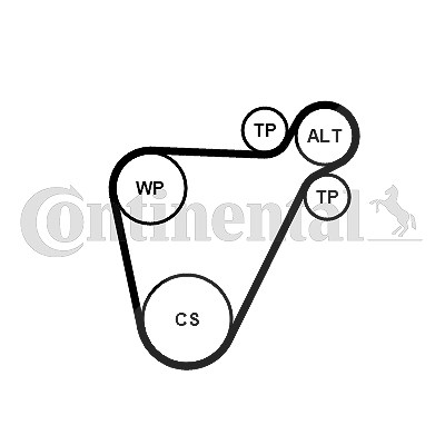 Continental Ctam Keilrippenriemensatz [Hersteller-Nr. 8PK954EXTRAK1] für BMW, Mini von CONTINENTAL CTAM