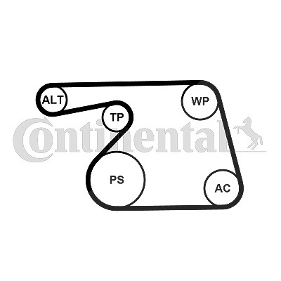 Continental Ctam Wasserpumpe + Keilrippenriemensatz [Hersteller-Nr. 6PK1318WP1] für Fiat, Opel, Suzuki von CONTINENTAL CTAM