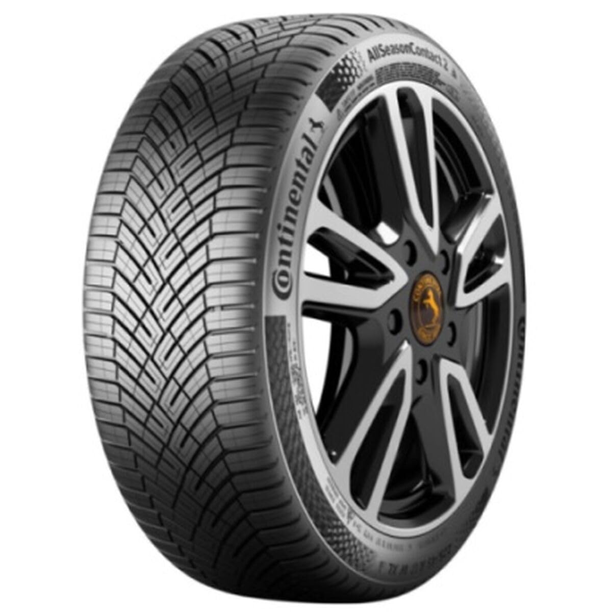 CONTINENTAL - AllSeasonContact 2-205/55 R 16-91V/C/B/70dB - Ganzjahresreifen von Continental