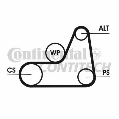 CONTITECH 6PK1042ELASTT1 Keilrippenriemensatz von CONTITECH