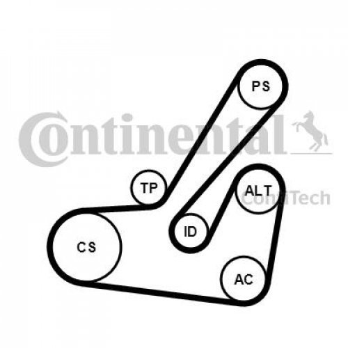 CONTITECH 6PK1145K2 Keilrippenriemensatz von CONTITECH