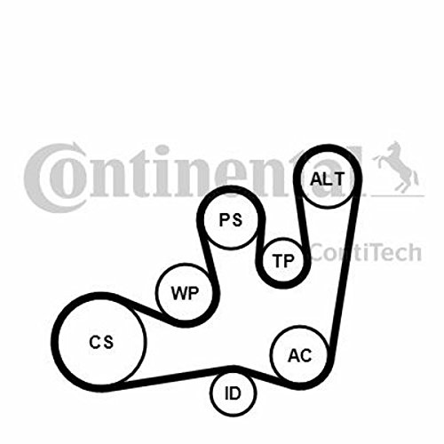 CONTITECH 6PK1642K1 Keilrippenriemensatz von CONTITECH