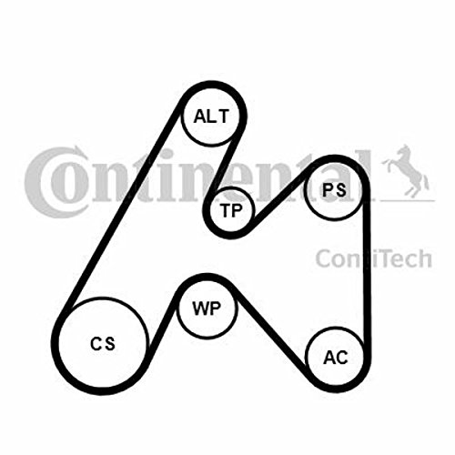 CONTITECH 6PK1660K3 Keilrippenriemensatz von CONTITECH