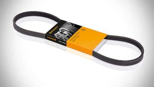 Contitech 10PK1580 Keilriemen geriffelt Contitech 10PK1580 Keilriemen geriffelt von CONTITECH