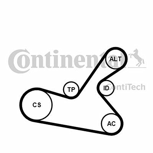 Contitech 6PK1125K1 Keilriemen, mehrfarbig von CONTITECH