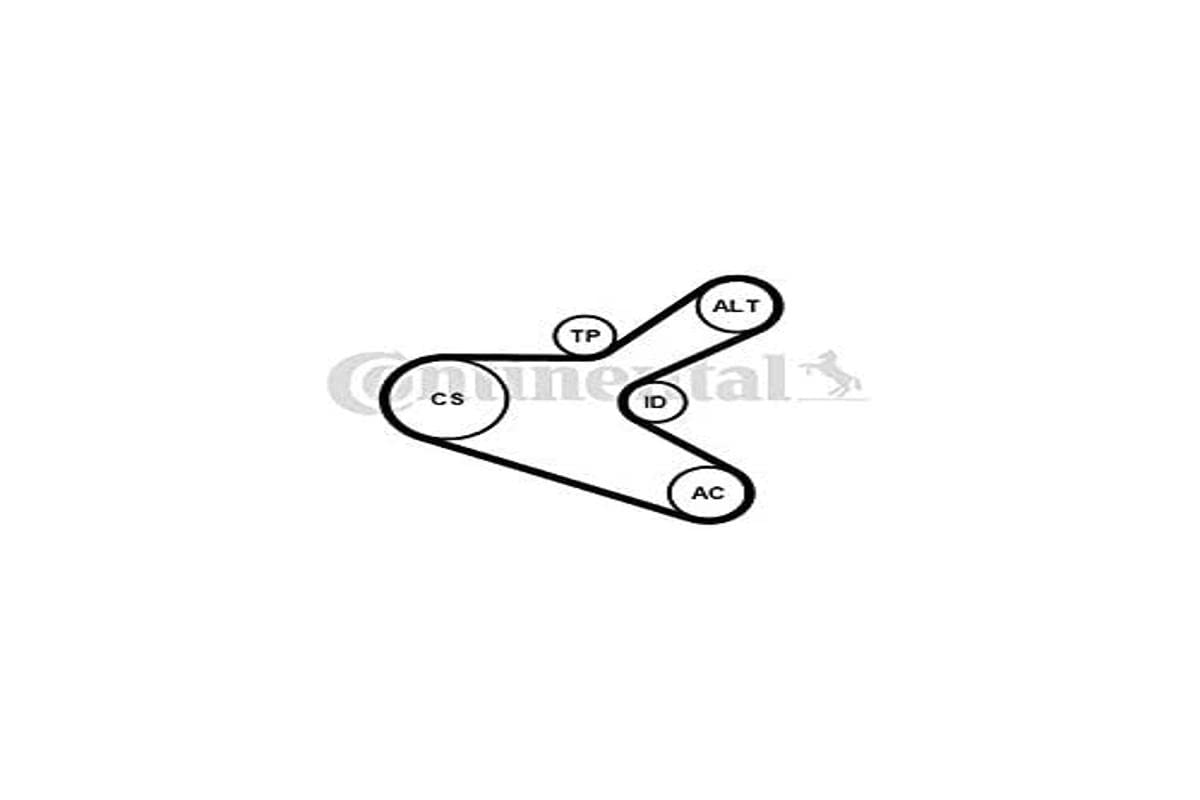 Contitech 6PK1153K2 Keilriemen, mehrfarbig von CONTITECH