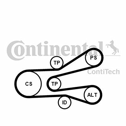 Contitech 6PK1440K1 Keilriemen für mehrere V Continental von CONTITECH