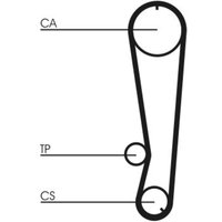 Zahnriemensatz CONTINENTAL CT788K1 von Contitech