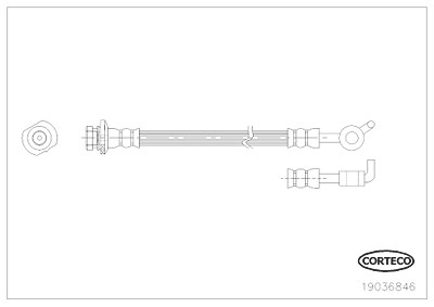 Corteco Bremsschlauch ERSTAUSRÜSTERQUALITÄT [Hersteller-Nr. 19036846] für Nissan von CORTECO