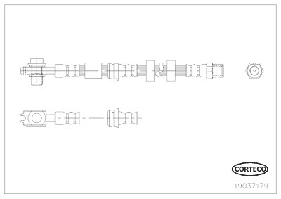 Corteco Bremsschlauch ERSTAUSRÜSTERQUALITÄT [Hersteller-Nr. 19037179] für VW, Seat, Audi von CORTECO