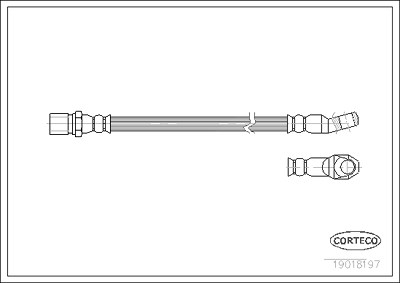 Corteco Bremsschlauch ERSTAUSRÜSTERQUALITÄT [Hersteller-Nr. 19018197] für Fiat von CORTECO
