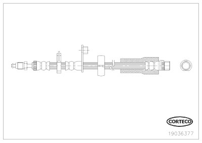 Corteco Bremsschlauch ERSTAUSRÜSTERQUALITÄT [Hersteller-Nr. 19036377] für Citroën, Peugeot von CORTECO