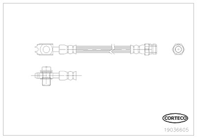 Corteco Bremsschlauch ERSTAUSRÜSTERQUALITÄT [Hersteller-Nr. 19036605] für Audi, Seat, Skoda, VW von CORTECO