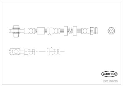 Corteco Bremsschlauch ERSTAUSRÜSTERQUALITÄT [Hersteller-Nr. 19036606] für Seat, VW von CORTECO