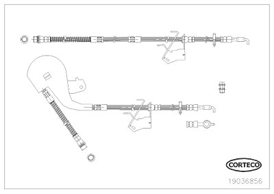 Corteco Bremsschlauch ERSTAUSRÜSTERQUALITÄT [Hersteller-Nr. 19036856] für Citroën, Peugeot von CORTECO