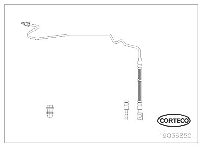 Corteco Bremsschlauch Hinterachse rechts ERSTAUSRÜSTERQUALITÄT [Hersteller-Nr. 19036850] für VW, Skoda, Seat, Audi von CORTECO