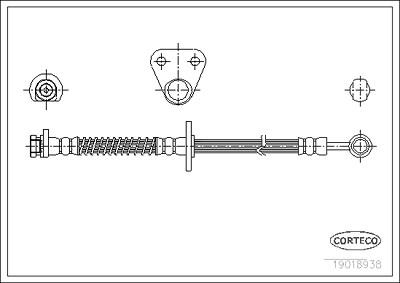 Corteco Bremsschlauch ERSTAUSRÜSTERQUALITÄT [Hersteller-Nr. 19018938] für Honda, Rover, Toyota von CORTECO