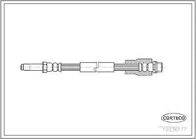 Corteco Bremsschlauch ERSTAUSRÜSTERQUALITÄT [Hersteller-Nr. 19036177] für Mercedes-Benz von CORTECO