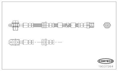 Corteco Bremsschlauch mit Hohlschraube vorne [Hersteller-Nr. 19037264] für Audi, VW von CORTECO