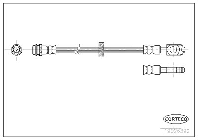 Corteco Bremsschlauch vorne ERSTAUSRÜSTERQUALITÄT [Hersteller-Nr. 19026392] für Audi, Seat, Skoda, VW von CORTECO