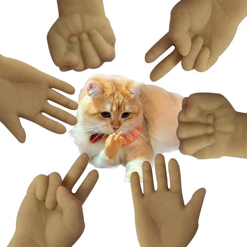 Lustiges Katzenhandschuh-Spielzeug, Minihände for Katzen, winzige Hände for Katzen, Fingerpuppen, Fingerrequisiten, Stein-Scheren-Spielzeug for Katzen, Hunde und Haustiere /8814/133(2sets) von CSSWLAI