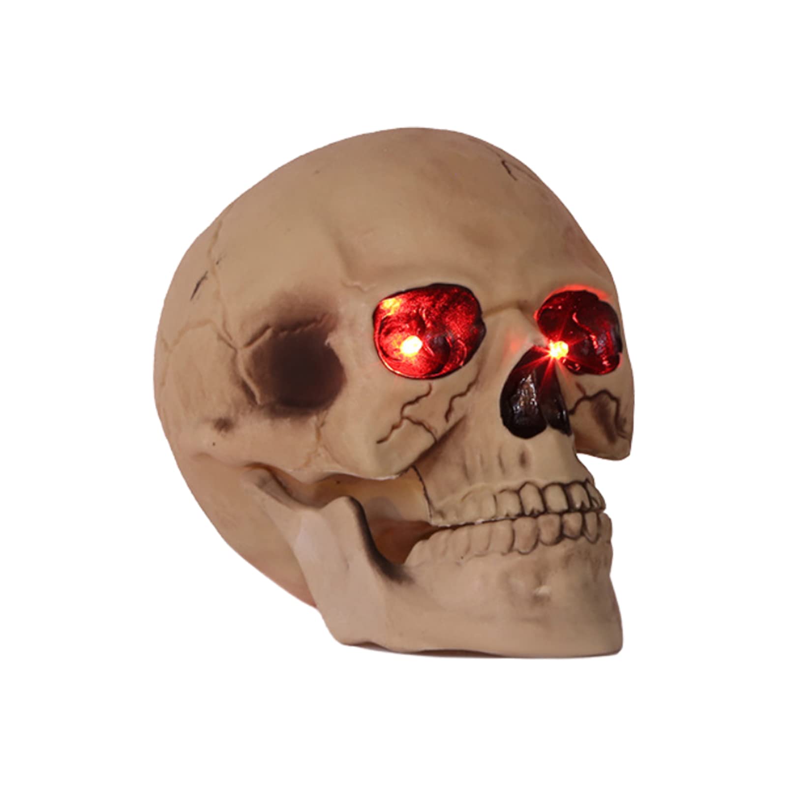 Realistisch aussehender grinsender Totenkopf, lebensgroßer menschlicher Schädel, 1:1-Replik, realistisches Kopfmodell, Simulation eines Skeletts, Totenkopf, Kopfdekoration, Requisite for Bar, Party, Z von CSSWLAI