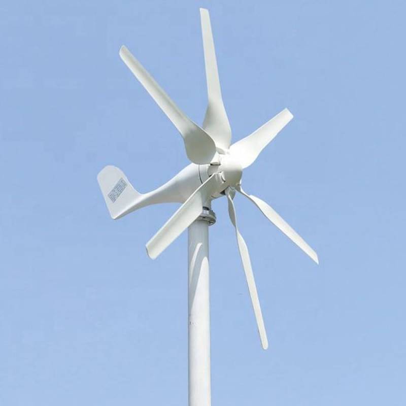 Windkraftanlage 800W mit MPPT Laderegler, 3-Phasen AC Horizontale Windturbine, 6-Blatt Windmühle für Haus & Bauernhof 12V 24V 48V (24, Volt) von Cadinor