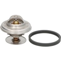 Thermostat CALORSTAT BY VERNET TH7517.79J von Calorstat By Vernet