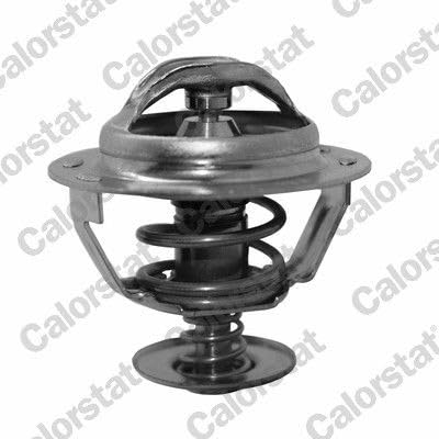 Calorstat TH5130.89J Thermostat, Kühlmittel von Calorstat