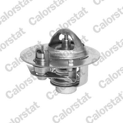 Calorstat TH5980.88J Thermostat, Kühlmittel von Calorstat