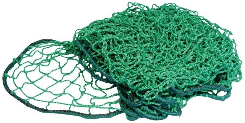 Carpoint Trailer Net with Elastic Cord 200 x 300 cm Green von Carpoint