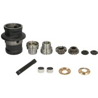 Differential-Reparatursatz CARRARO 68486-CR von Carraro