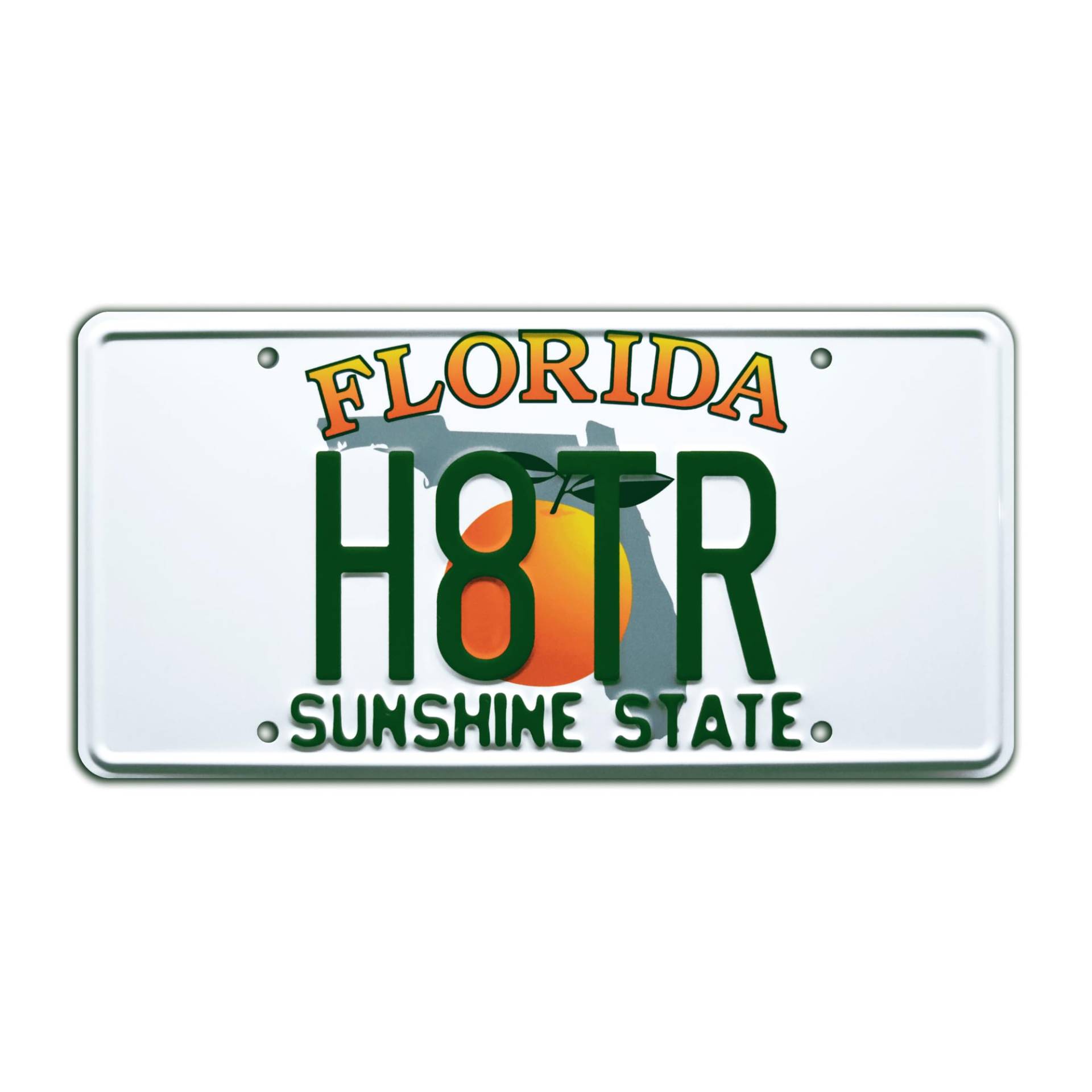 2 Fast 2 Furious | H8TR | Metal Stamped License Plate von Celebrity Machines