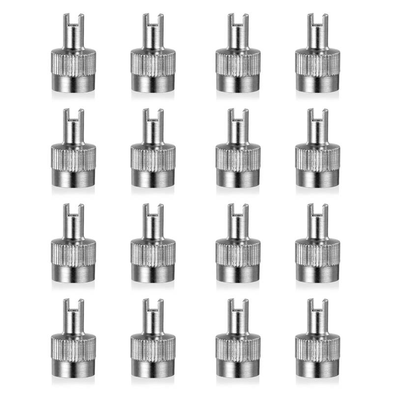 Ventilausdreher Autoventil Schlüssel 16 Stück Autoventil-Schlüssel Metall-Ventilkappen mit Schlüssel Staubdichte Und Plattensichere Reifenventilkappen Sind Für Autos,Fahrräder Und Motorräder Geeignet von Celiodd