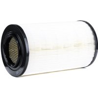 CHAMPION Luftfilter Filtereinsatz CAF100186R Motorluftfilter,Filter für Luft FIAT,PEUGEOT,CITROËN,DUCATO Pritsche/Fahrgestell (230) von Champion