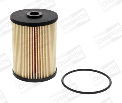 Champion Kraftstofffilter [Hersteller-Nr. CFF100447] für Audi, Seat, Skoda, VW von Champion