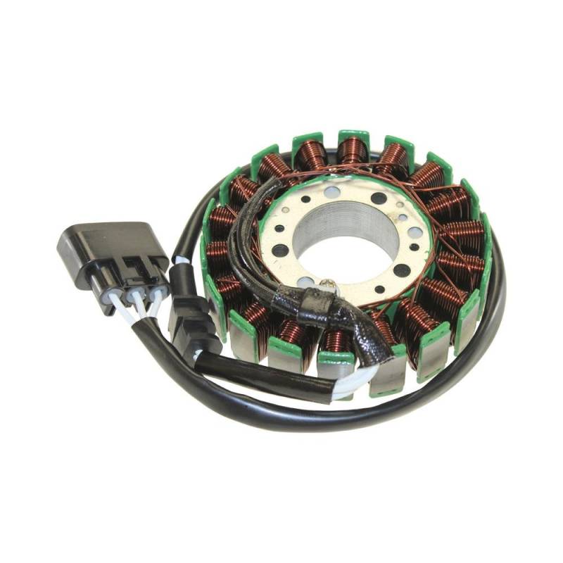 Lichtmaschine Stator für YZF 1000 R1 02-03 RN091 RN095 von Citomerx