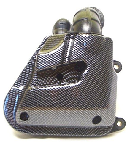 Luftfilter Box, Luftfilterkasten Carbon Look Adly, kompatibel mit Aprilia SR50, MBK Nitro, Yamaha Aerox von Citomerx