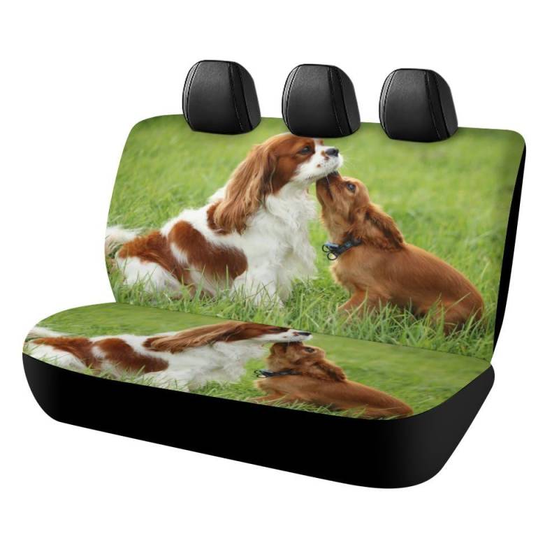 Cmagnifico Auto-Rücksitzbezug, Cavalier King Charles Spaniel, Autositzbezug, Universal-Sitzbezüge-Set für die meisten Autos, LKWs, SUVs von Cmagnifico