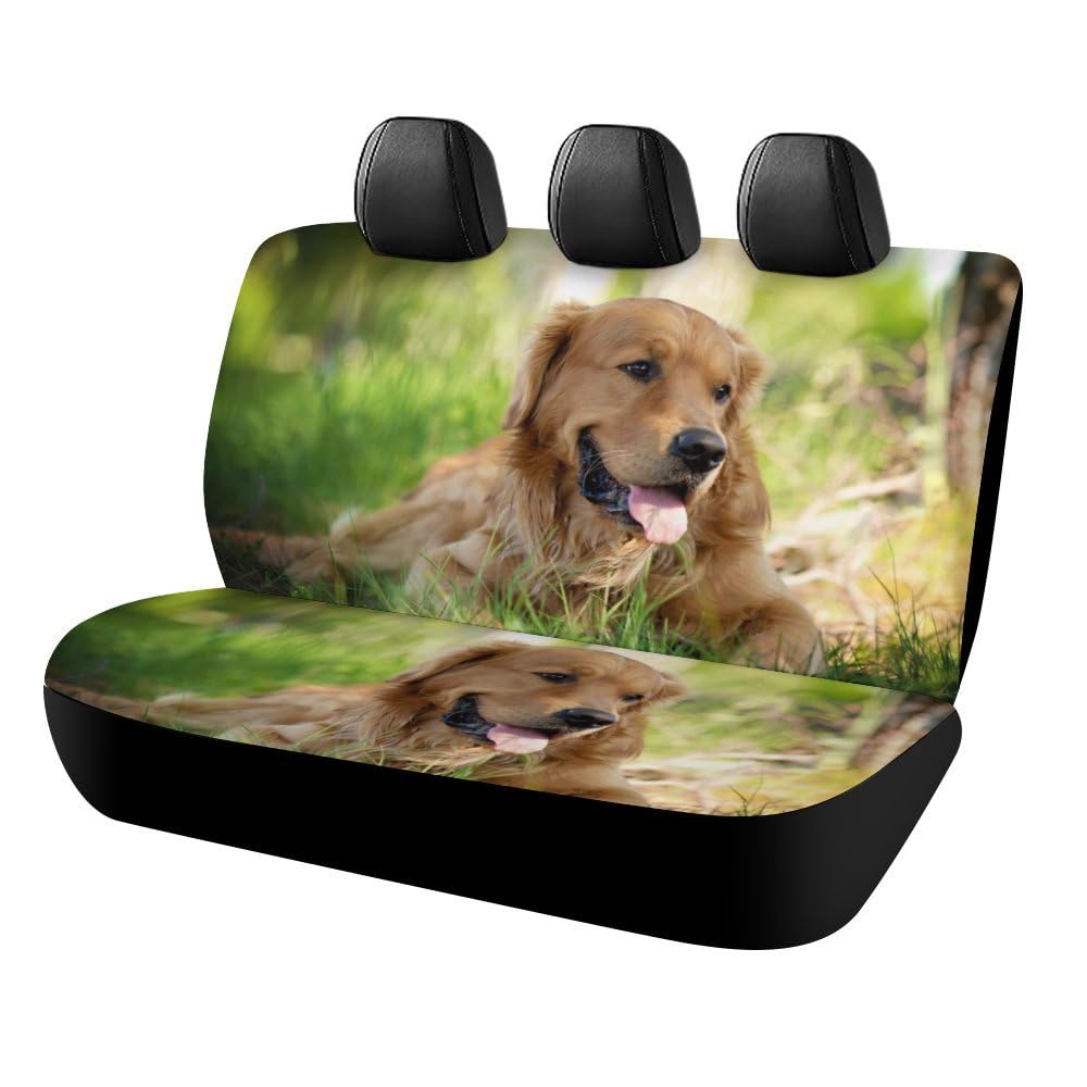 Cmagnifico Auto Rücksitzbezug, Hund Golden Retriever Autositzbezug, Universal Sitzbezüge Set für die meisten Autos LKW SUV von Cmagnifico