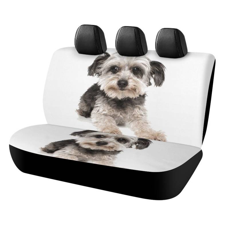 Cmagnifico Auto-Rücksitzbezug, niedlicher Yorkshire Terrier, Autositzbezug, Universal-Sitzbezüge-Set für die meisten Autos, LKWs, SUVs von Cmagnifico