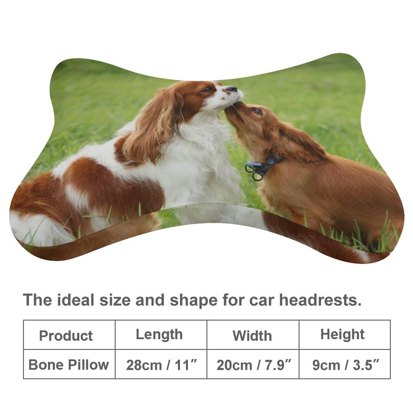 Cmagnifico Autositzkissen, Cavalier King Charles Spaniel, Kopfstützenkissen, Auto-Nackenstützkissen für Fahrer oder Beifahrer, 2 Stück von Cmagnifico