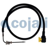 Abgastemperatursensor COJALI 2260884COJ von Cojali