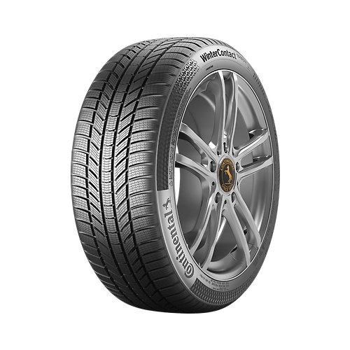 195/55R20*H TS 870 P 95H XL von Continental