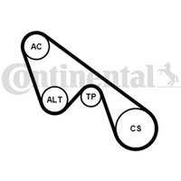 Keilrippenriemensatz CONTITECH 5PK1150K1 von Contitech