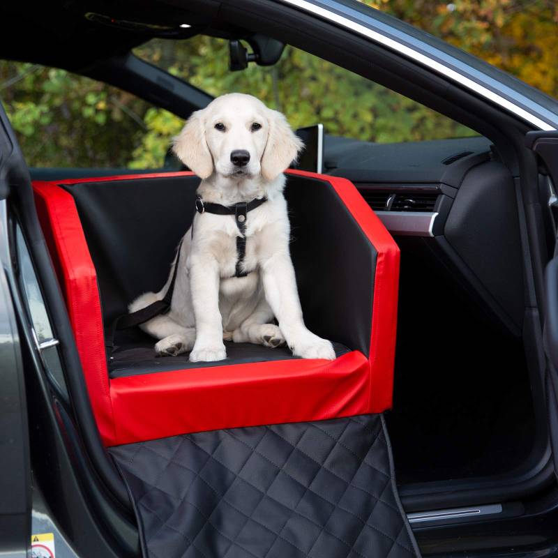 CopcoPet Vordersitz Hundeautositz Autohundebett Hundebett Transportbett Autoschondecke (55 x 55 x 38 cm Ortho.-Vordesitz, Rot-Schwarz) von CopcoPet