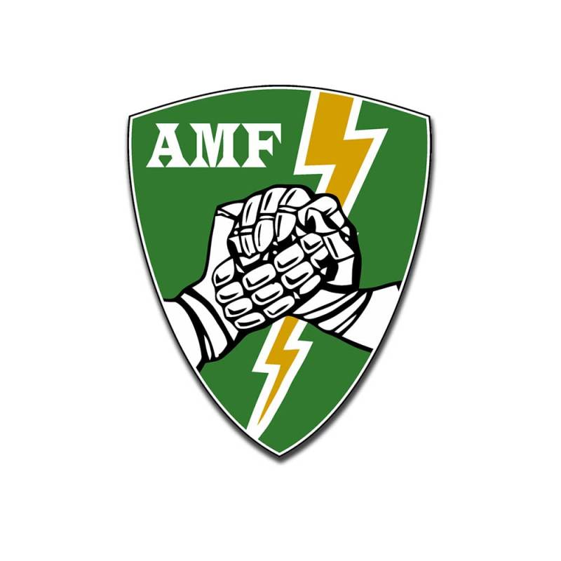 AMF Aufkleber Sticker Ace Mobile Forces Heer Luftstreitkräfte 14x12cm #A5217 von Copytec