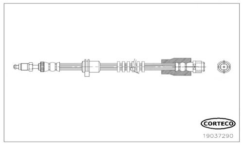 Bremsschlauch Vorderachse Corteco 19037290 von Corteco