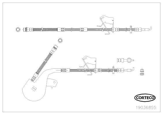 Bremsschlauch Vorderachse links Corteco 19036855 von Corteco
